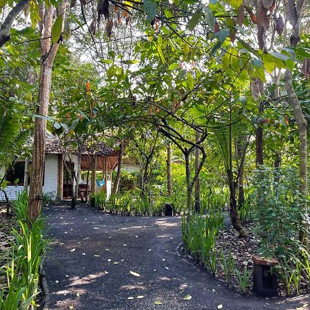 אייאמפה El Campito Lodge מראה חיצוני תמונה