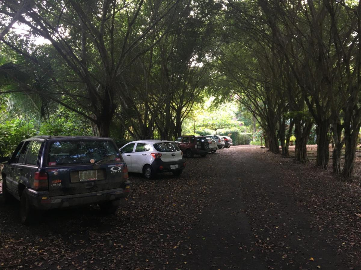 אייאמפה El Campito Lodge מראה חיצוני תמונה