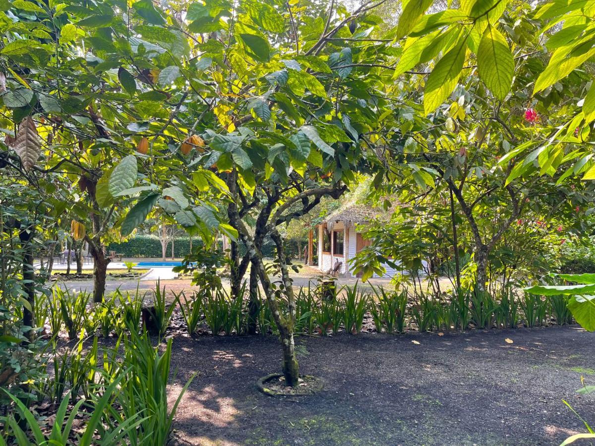 אייאמפה El Campito Lodge מראה חיצוני תמונה